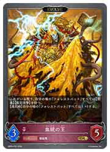 �y�V���h�E�o�[�X �G�{�����z�yBP09�z �����̉�/EVOLVE(GR-P)(P22)��