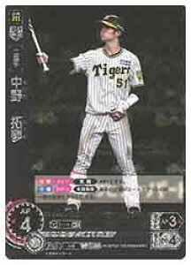 yv싅J[hQ[ DREAM ORDERz(CBP02) @(RH)(CBP02-T05)