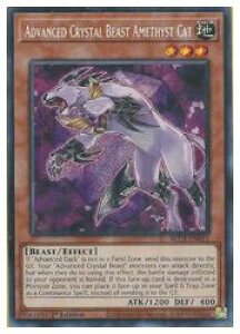 yVY pŁzAdvanced Crystal Beast(S)(1st)(AʏbAWXgELbg)V[NbgA