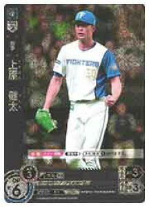 yv싅J[hQ[ DREAM ORDERz(PBP01) ㌴ (RH)(PBP01-F04)