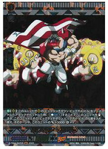 y@K[hzDTB(4) 21l̃`[Cc(SKR)(DTB04/SKR59)