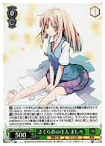 y@CXV@cz(Gsp) 瑑̏Zl ܂(SR)(WS02-062S)SR