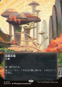 �yMTG�z(JPN)(�M�����N�V�[FOIL) �����s��(0153)(EOS) �n�����A