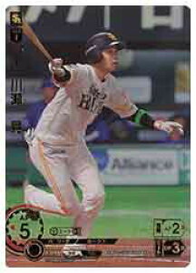 yv싅J[hQ[ DREAM ORDERz(PBP01) 쐣@W(SP)(PBP01-H05)