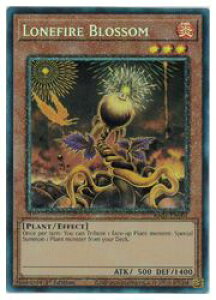 �y�V�Y�� �p��ŁzLonefire Blossom(PCR)(1st)(���[���t�@�C�A�E�u���b�T��)��
