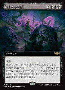 yMTGz(JPN)(gA[g) y̌㐶(TDC) A