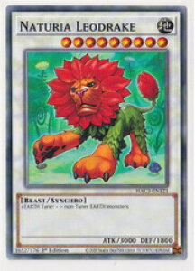 �y�V�Y�� �p��ŁzNaturia Leodrake(NP)(1st)(�i�`�����E�K�I�h���C�N)��