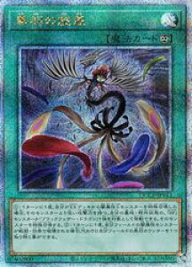 yVYzH̐(25thS)(QCCP-JP143)