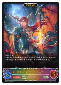 yVhEo[X G{zyBP13z ŔM̗Eh[N/EVOLVE(SL)(SL13)