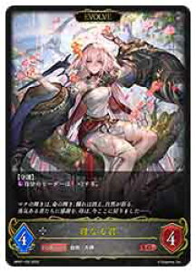 �y�V���h�E�o�[�X �G�{�����z�yBP07�z�@��Ȃ�N/EVOLVE(LG)(105)��