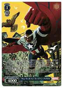 y@CXV@cz(MAR) 'TEEB\'LveEAJ(SR)(S113-095S)SR