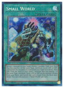 �y�V�Y�� �p��ŁzSmall World(PCR)(1st)(�X���[���E���[���h)��
