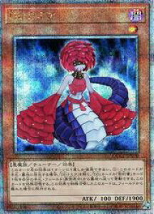 yVYzDD~A(25thS)(QCCP-JP070)