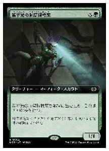 yMTGz(ENG)(gA[g)(FOIL) Ő̓AT(LCI) ΁A