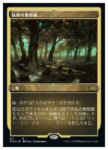 yMTGz(JPN)(Gb`OFOIL) ֊̉ʎ(2x2) nA