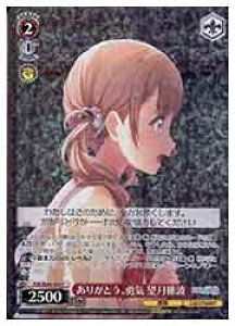 y@CXV@cz(PJS) 肪ƂAEC ]g(P)(SE49-003)P