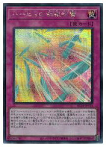 yVYzn[sB̉H(S)(RC04-JP074)V[NbgA