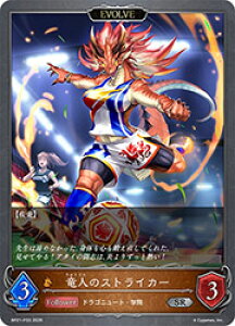 �y�V���h�E�o�[�X �G�{�����z(BP21) ���l�̃X�g���C�J�[/EVOLVE(SR-P)(BP21-P33)��