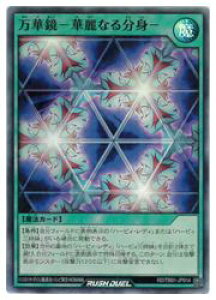 yVY bVfGz΁@؋[ؗȂ镪g[(SR)(RD/TB01-JP014)