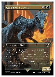 yMTGz(JPN)({[_[X)(FOIL) cEȃMKmgTEX(REX) A