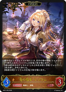 �y�V���h�E�o�[�X �G�{�����z(BP21) ���̖����E�����E��/EVOLVE(LG)(BP21-056)��