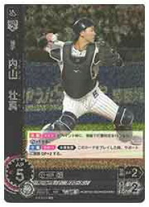 yv싅J[hQ[ DREAM ORDERz(CBP02) R s^(RH)(CBP02-S03)