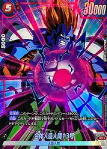 yhS{[X[p[J[hQ[ t[W[hzԁ@̐ll13(SRP)(FB06-002)