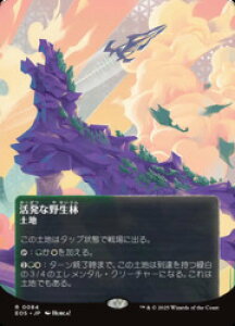 �yMTG�z(JPN)(FOIL) �����Ȗ쐶��(0084)(EOS) �n�����A
