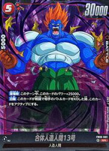 yhS{[X[p[J[hQ[ t[W[hzԁ@̐ll13(SR)(FB06-002)