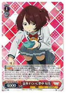 y@CXV@cz(MKI) ɖ m(RR)(W126-053RR)RR