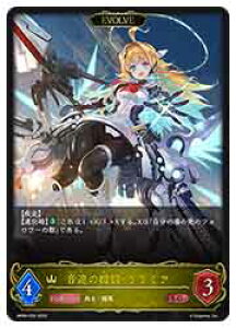 �y�V���h�E�o�[�X �G�{�����z�yBP06�z�@�����̋@�\�E�����~�A/EVOLVE(LG)(020)��