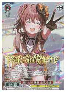 y@CXV@cz(BD) ꂾM Rш(BDR)(WE42-058BDR)BDR