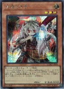 yVYzHS(S)(QCAC-JP048)V[NbgA
