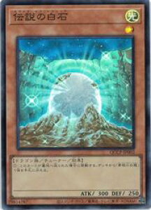 yVYz`̔(SR)(QCCP-JP002)X[p[A