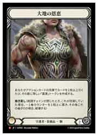 【FLESH AND BLOOD】(JPN)大地の恩恵[M](GAP065)◇