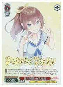 y@CXV@cz(BD) Ă̐ Rш(BDR)(WE42-060BDR)BDR