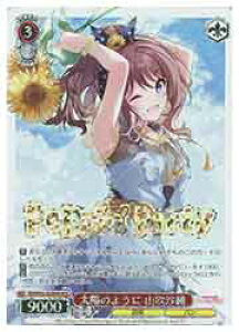 y@CXV@cz(BD) ẑ悤 Rш(BDR)(WE42-062BDR)BDR