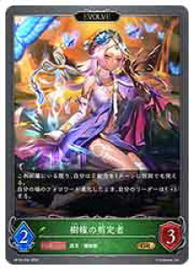 �y�V���h�E�o�[�X �G�{�����z(BP18) �����̙����/EVOLVE(GR)(BP18-006)��
