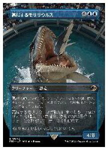 yMTGz(JPN)({[_[X) g郂TTEX(REX) A