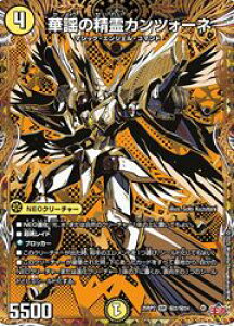 �y�f���G���}�X�^�[�Y�z��(DM25RP2)�@�}����)�ؗw�̐���J���c�H�[�l(SR)(H2/H24)���X�[�p�[���A