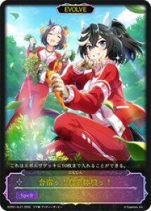 yVhEo[X G{zyECP01z hb! _Ƒ̌b!/EVOLVE(ɂ񂶂)(SLdl)(SL31)
