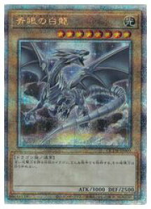 yVYz̔(25thS)(QCDB-JP009)