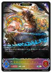 yVhEo[X G{zyBP05z@̐⌆E}[EB/EVOLVE(SL)(SL17)