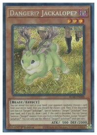 楽天市場 Danger 遊戯王の通販