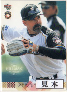 BBM2007 kC{nt@C^[Y M[J[h 164~J[h