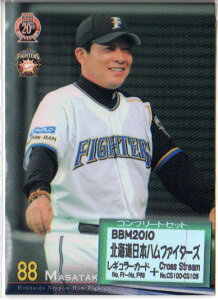 BBM2010 kC{nt@C^[Y M[J[hRv[gZbg