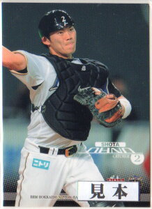 BBM2015 kC{nt@C^[YJ[hZbg uHORIZONv M[J[h 200~J[h