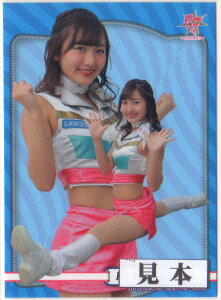 BBM2017 v싅`A[_[J[h-؁E- bluelegendsiCIYj M[J[h