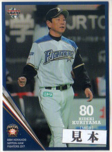 BBM2017 kC{nt@C^[Y M[J[h 300~J[h