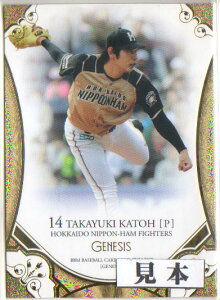 BBM2017 GENESIS/WFlVX M[J[h 300~J[h